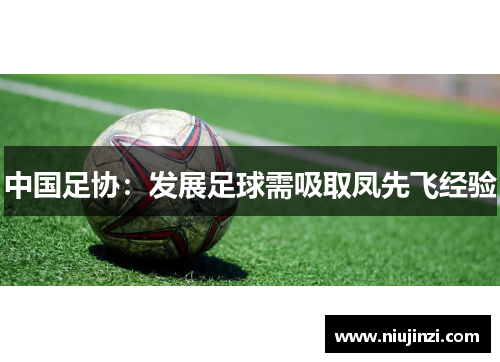 中国足协：发展足球需吸取凤先飞经验